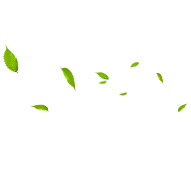 MHL Power Dongfang Boiler Co.、Ltd。（MHDB）