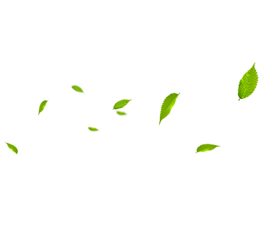 MHL Power Dongfang Boiler Co.、Ltd。（MHDB）