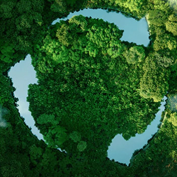 MHL Power Dongfang Boiler Co.、Ltd。（MHDB）